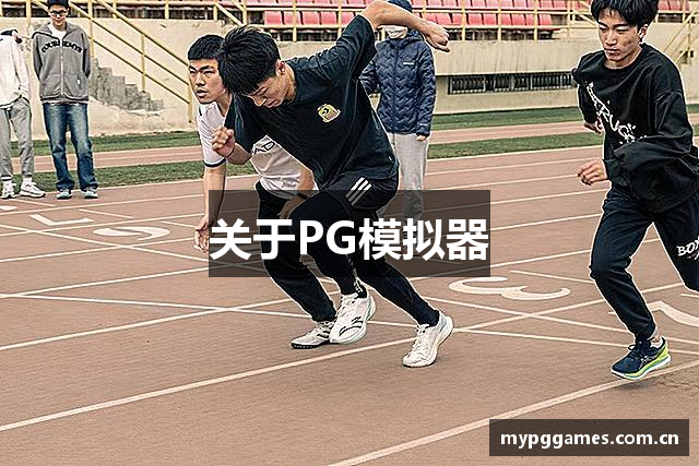 关于PG模拟器